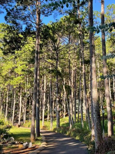 omirita resort dalat