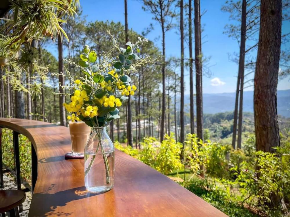 omirita resort dalat