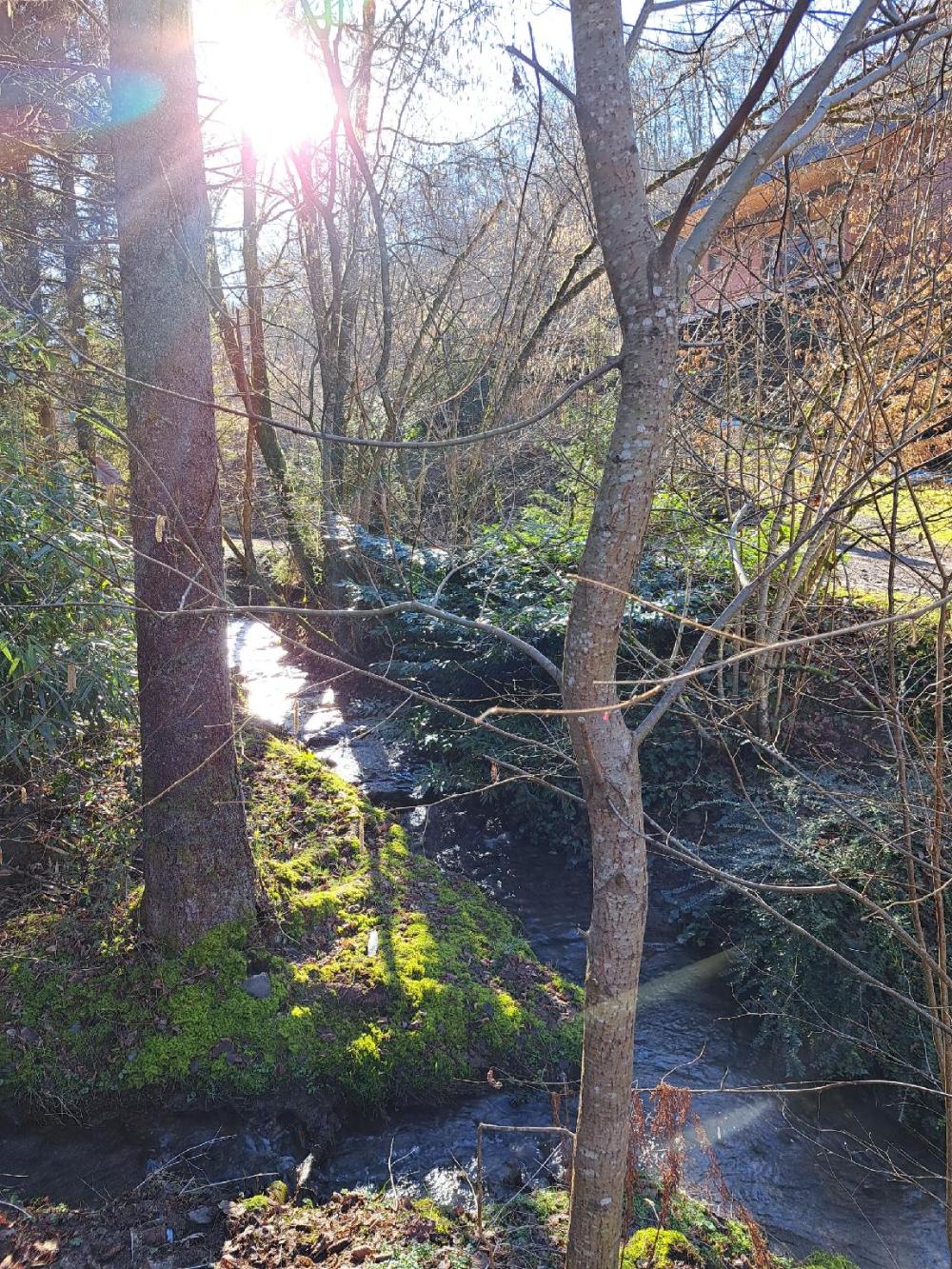 le ri de va maboge la roche en ardenne