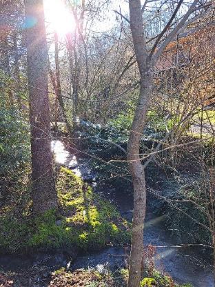 le ri de va maboge la roche en ardenne