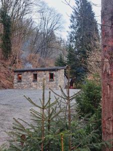 le ri de va maboge la roche en ardenne