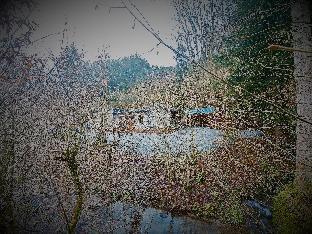 le ri de va maboge la roche en ardenne