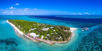 heron island