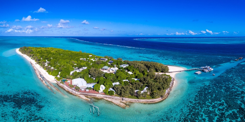 heron island