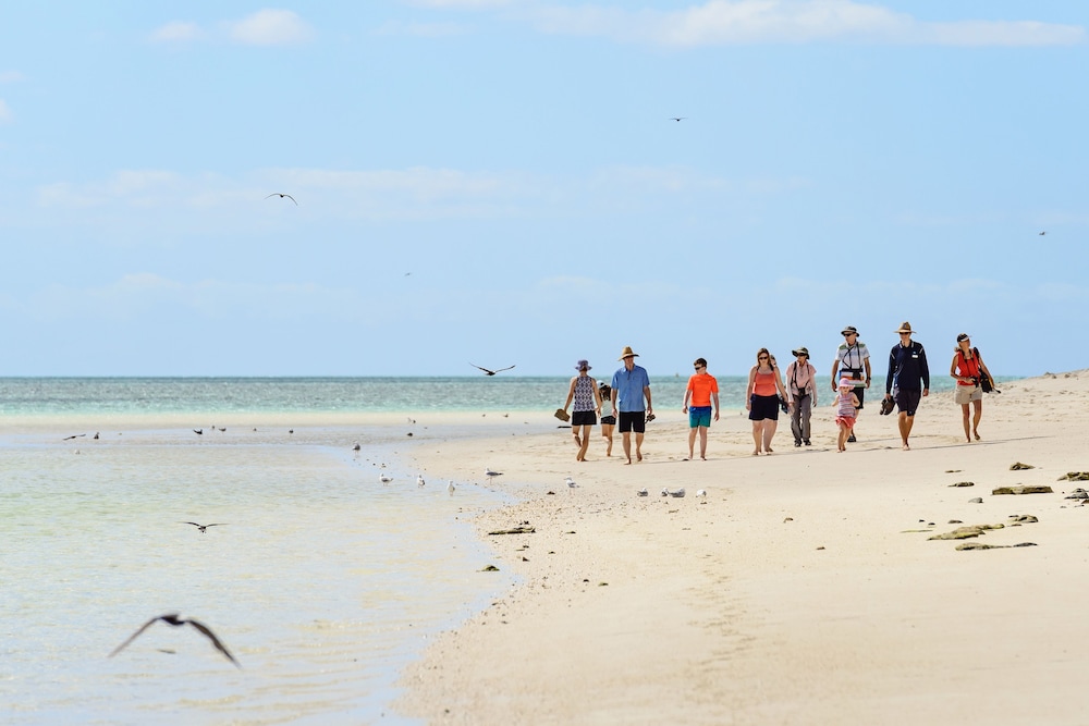 heron island