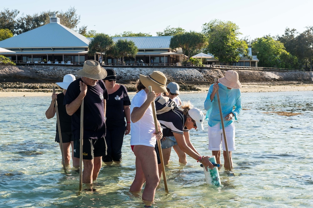 heron island