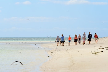 heron island