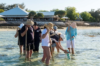 heron island