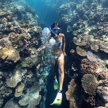 heron island