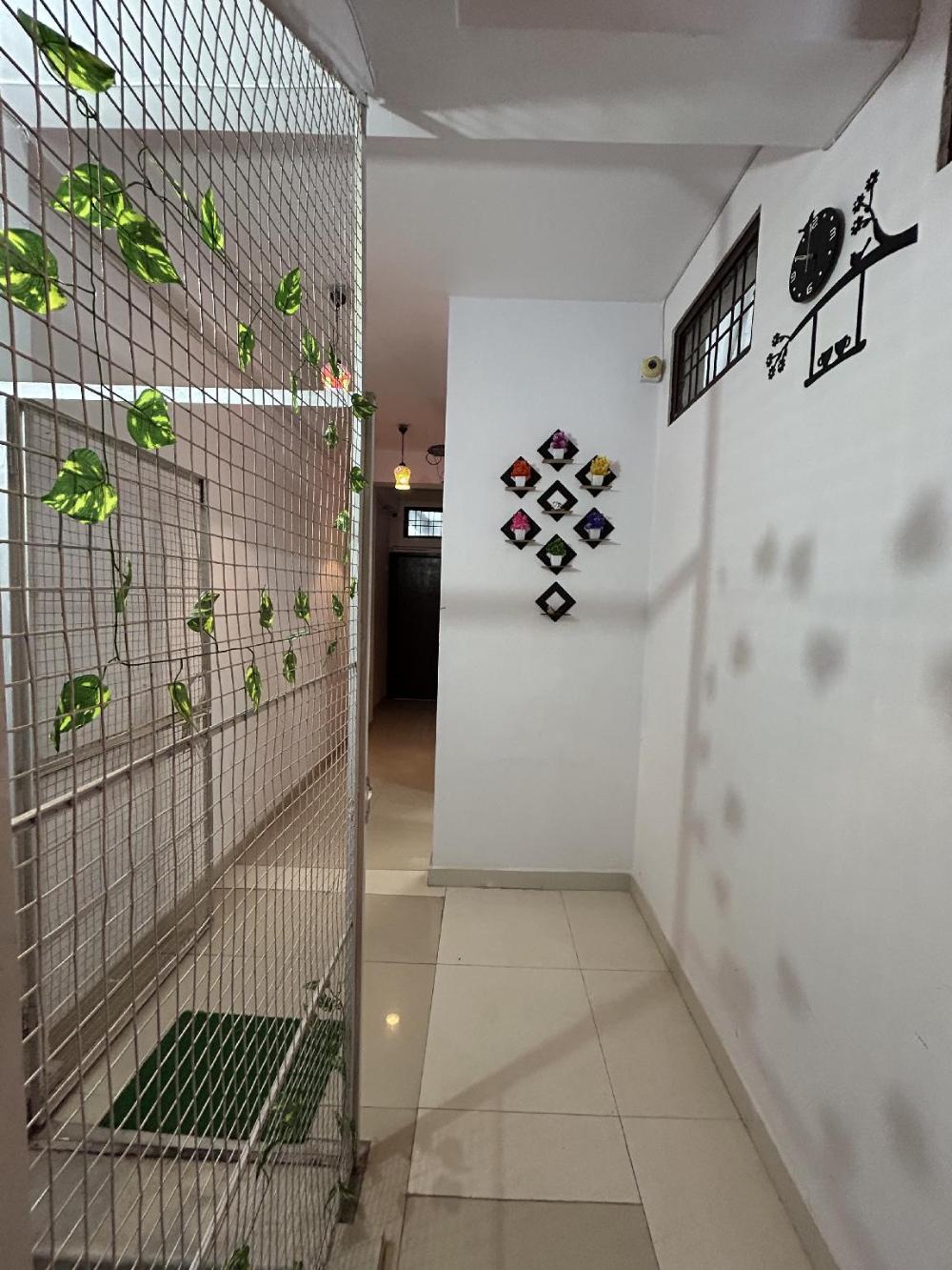 ashish guest house udaipole