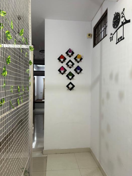 ashish guest house udaipole