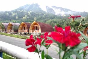 penginapan puncak dua