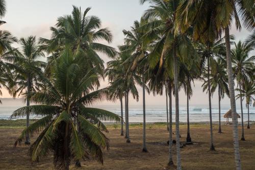 alamayah boutique retreat hotel and private residents