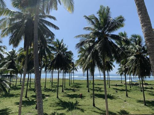 alamayah boutique retreat hotel and private residents