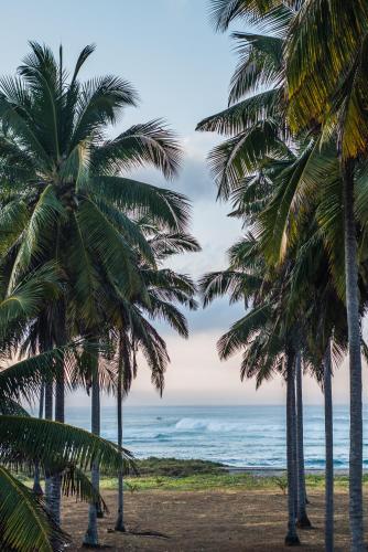 alamayah boutique retreat hotel and private residents