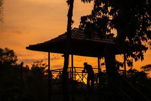 zostel coorg madikeri