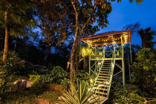 zostel coorg madikeri