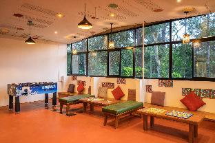 coorg