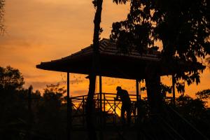 zostel coorg madikeri