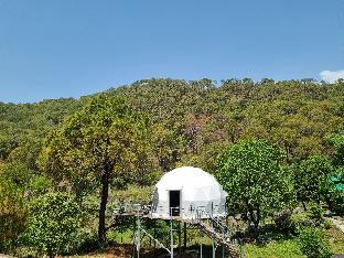 palampur