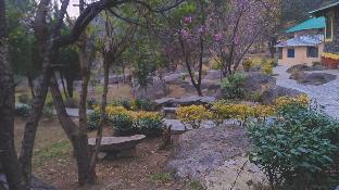 palampur