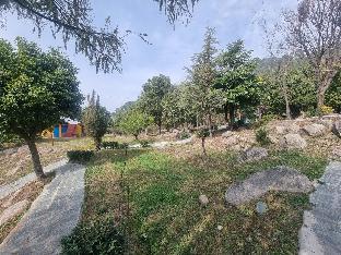 palampur