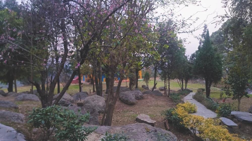 palampur