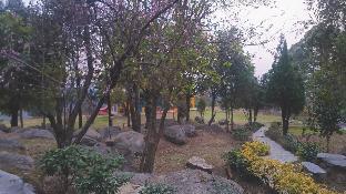 palampur