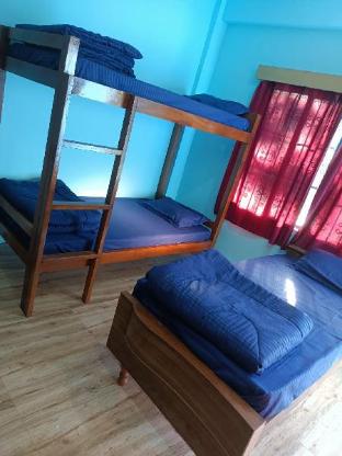 the himalayan hostel