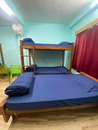 the himalayan hostel