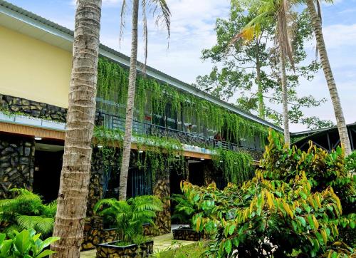 homestay b o binh