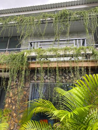 homestay b o binh