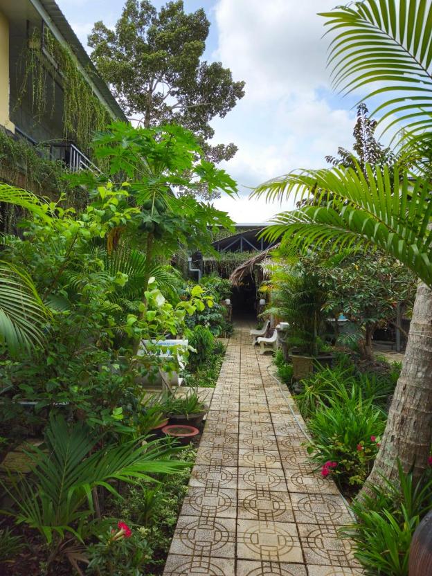 homestay b o binh