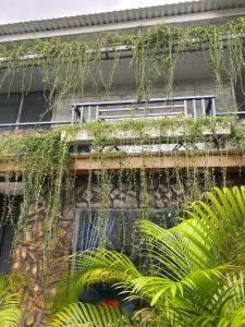 homestay b o binh
