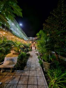 homestay b o binh