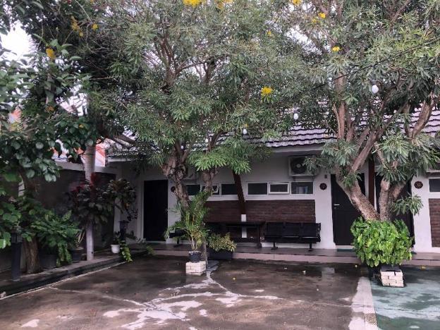 reddooz plus ininnawa homestay palu