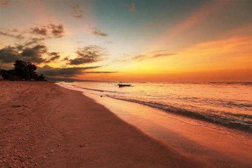 reddooz plus ininnawa homestay palu