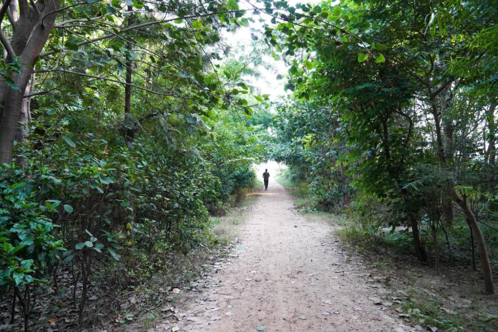 flagship satguru residency