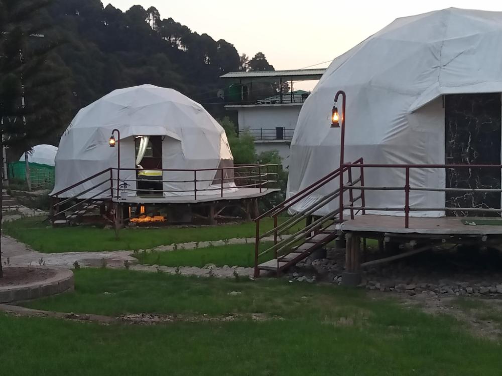 nestonature glamping dharamshala