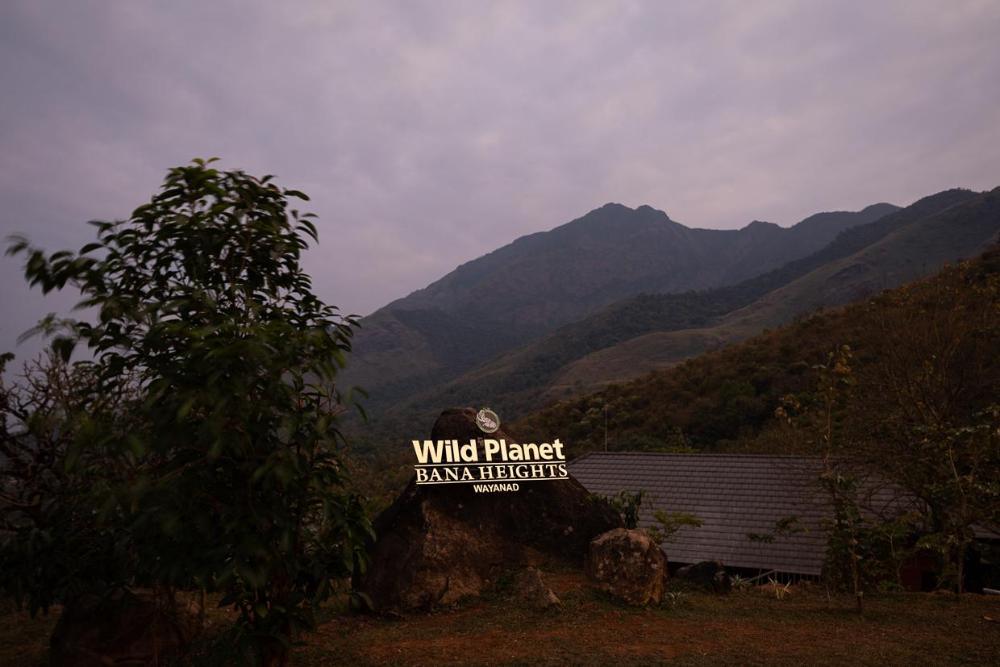 wild planet bana heights