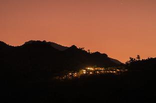 wild planet bana heights