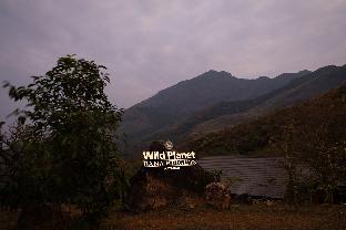 wild planet bana heights