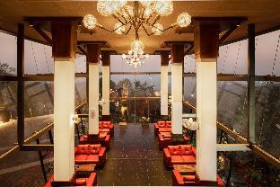 wild planet bana heights