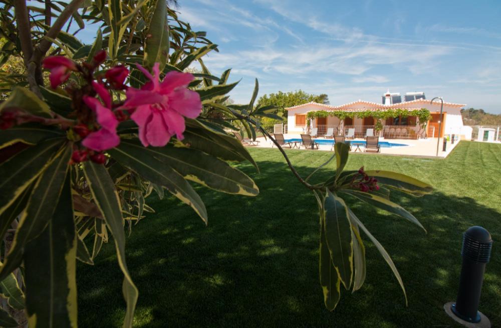 casa da ladeira branca