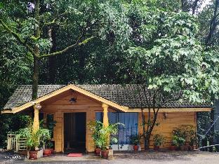 lazo coffee bean resort coorg
