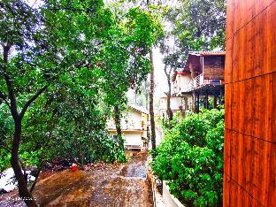 lazo coffee bean resort coorg
