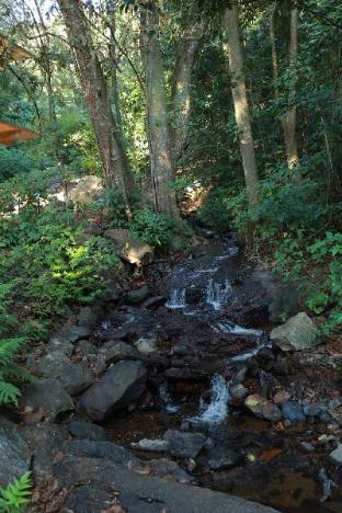 lazo coffee bean resort coorg
