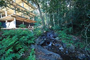 lazo coffee bean resort coorg