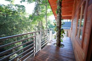 lazo coffee bean resort coorg