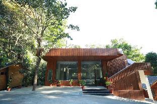 lazo coffee bean resort coorg